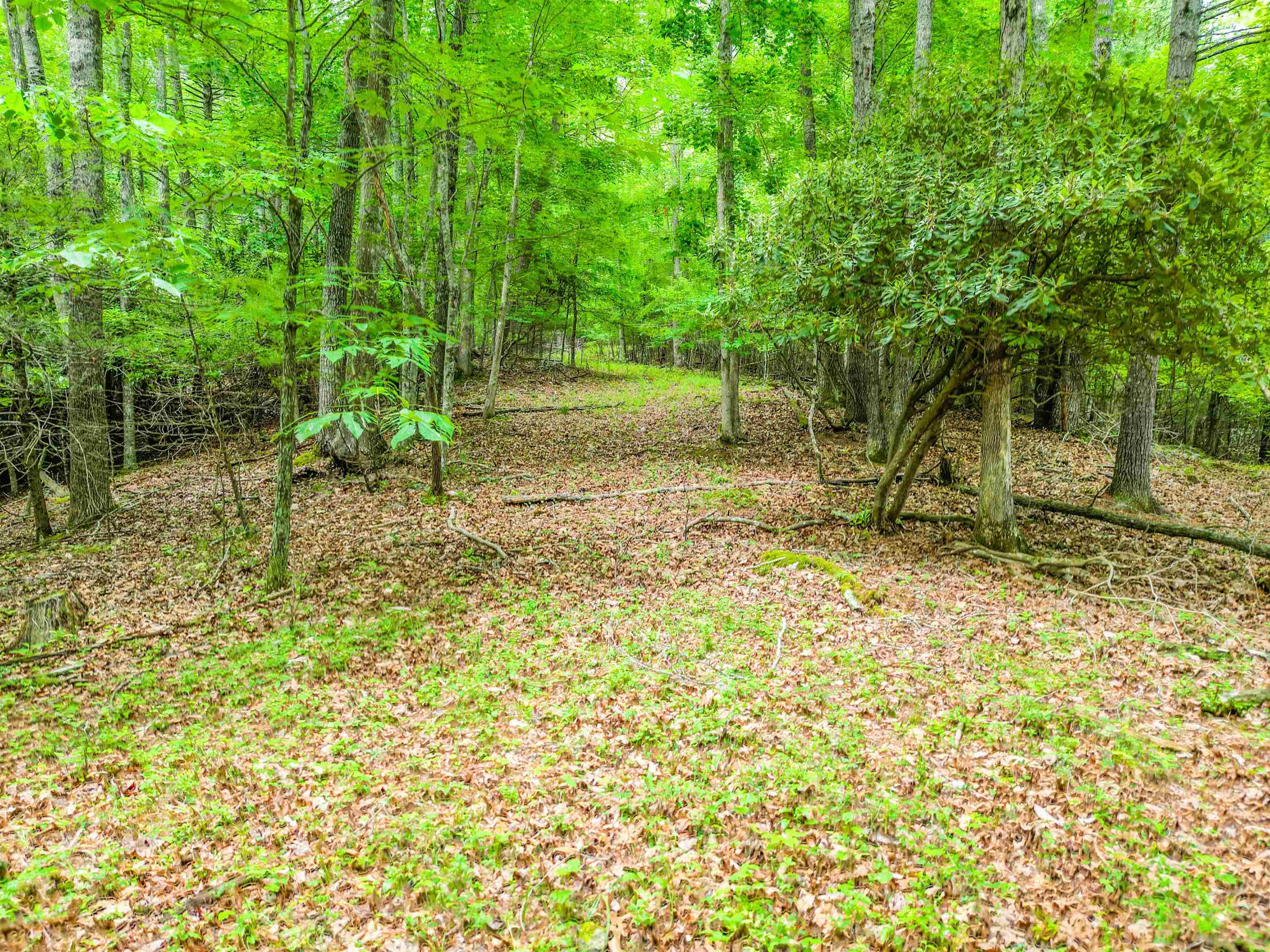 495 Spangler Mill Road Northeast Floyd, VA 24091 - Photo 18 of 41 Gallery Image 18