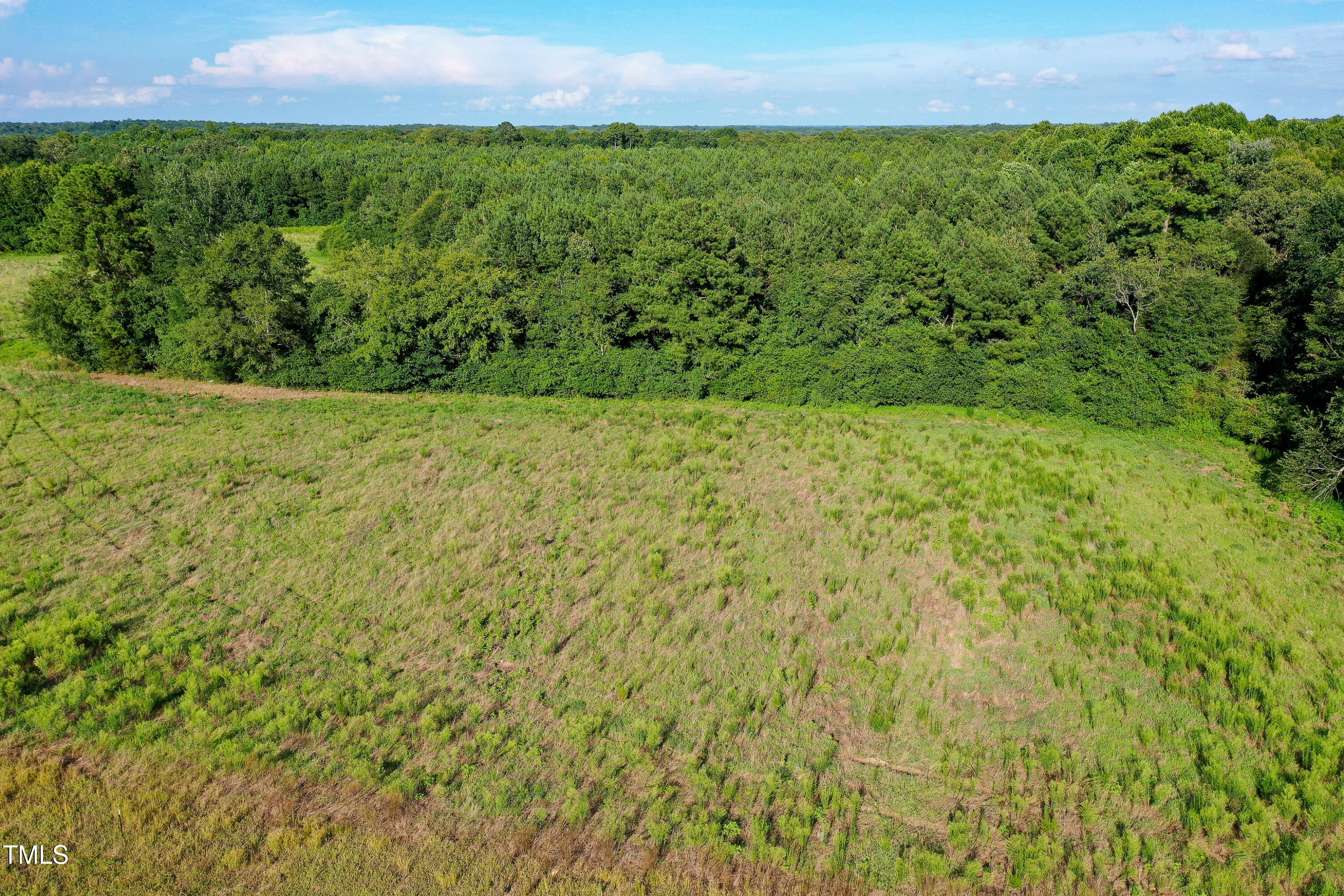 1.8-acres Timberlake Road Louisburg, NC 27549 - Photo 3 of 6 a view of a yard with an outdoor space