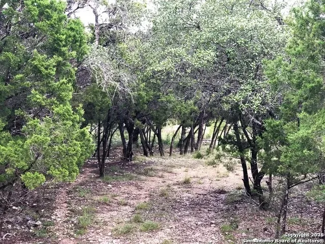 a view of backyard with green space