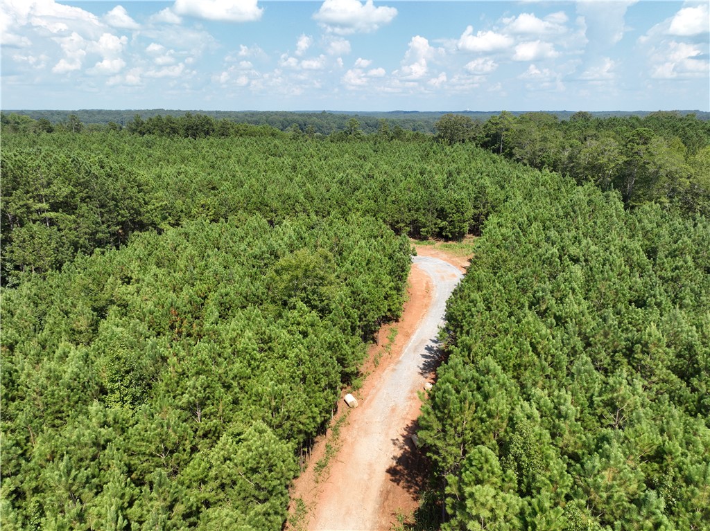 1280 Broadway Lake Road Anderson, SC 29621 - Photo 3 of 18 Gallery Image 3