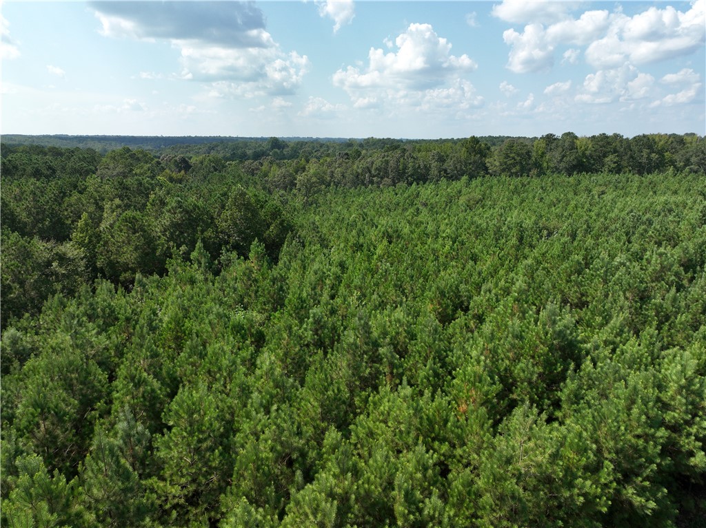 1280 Broadway Lake Road Anderson, SC 29621 - Photo 7 of 18 Gallery Image 7