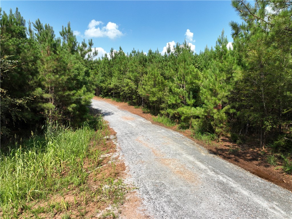 1280 Broadway Lake Road Anderson, SC 29621 - Photo 8 of 18 Gallery Image 8