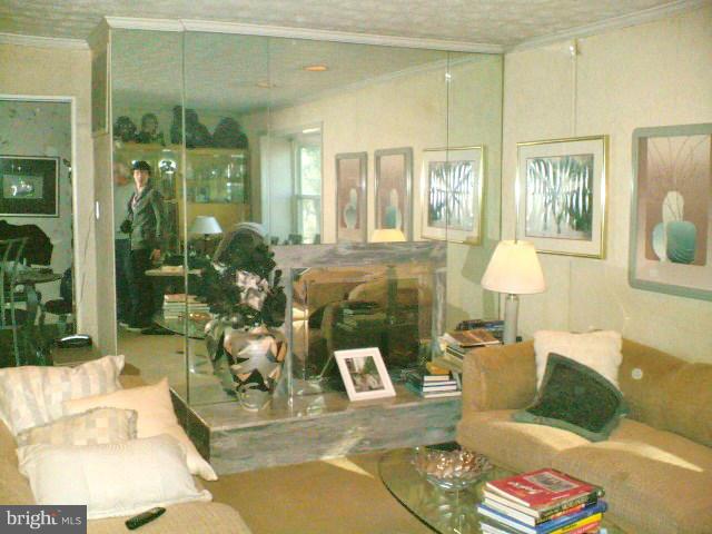 19529 Olney Mill Road Olney, MD 20832 - Photo 6 of 10 a living room with furniture