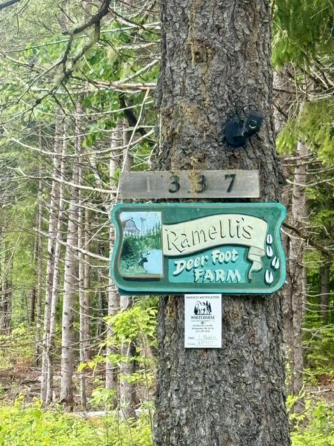 1337 East Plantation Road Blaine, ME 04734 - Photo 43 of 43 IMG_1053
