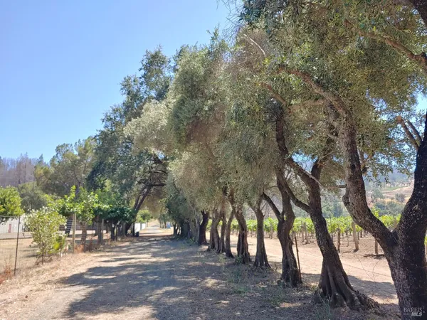 $1,695,000 | 4104 St Helena Highway, Calistoga, CA 94515