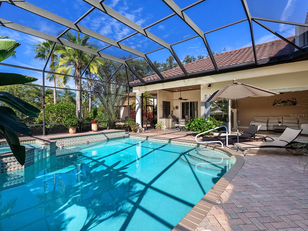 10528 Cheval Place Lakewood Ranch, FL 34202 - Photo 51 of 71 a view of a swimming pool with a patio