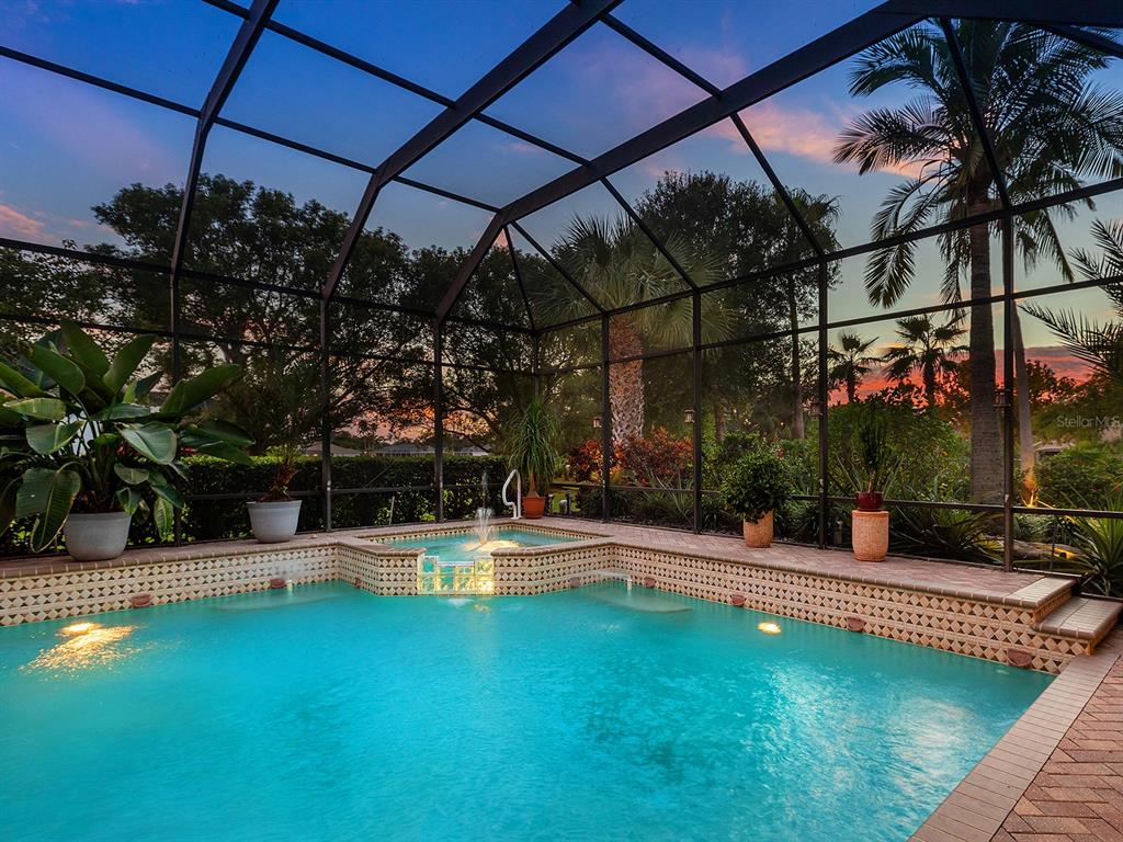 10528 Cheval Place Lakewood Ranch, FL 34202 - Photo 60 of 71 a view of a swimming pool with a patio