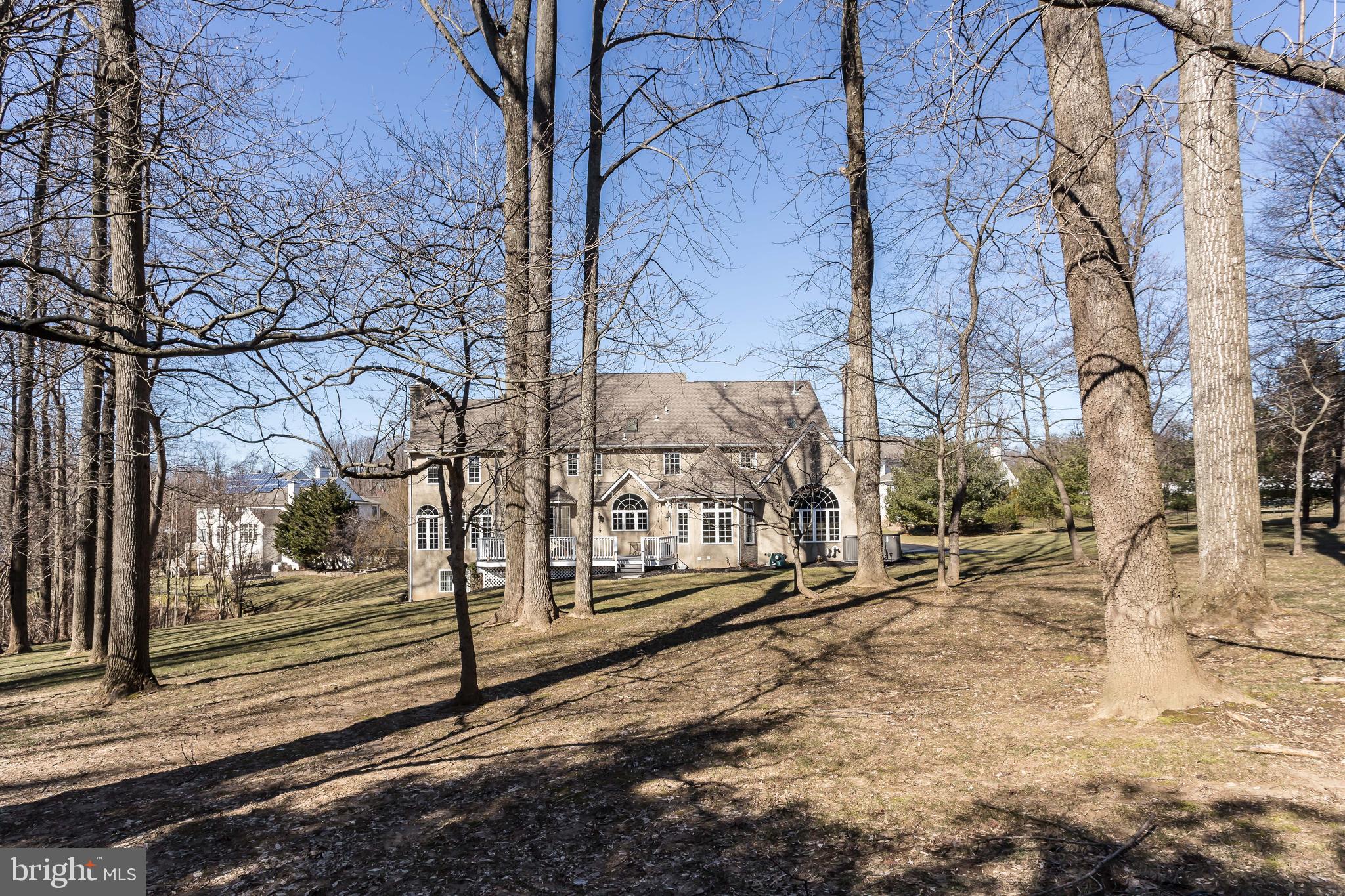122 Springtree Road Newtown Square, PA 19073 - Photo 17 of 17 Back yard