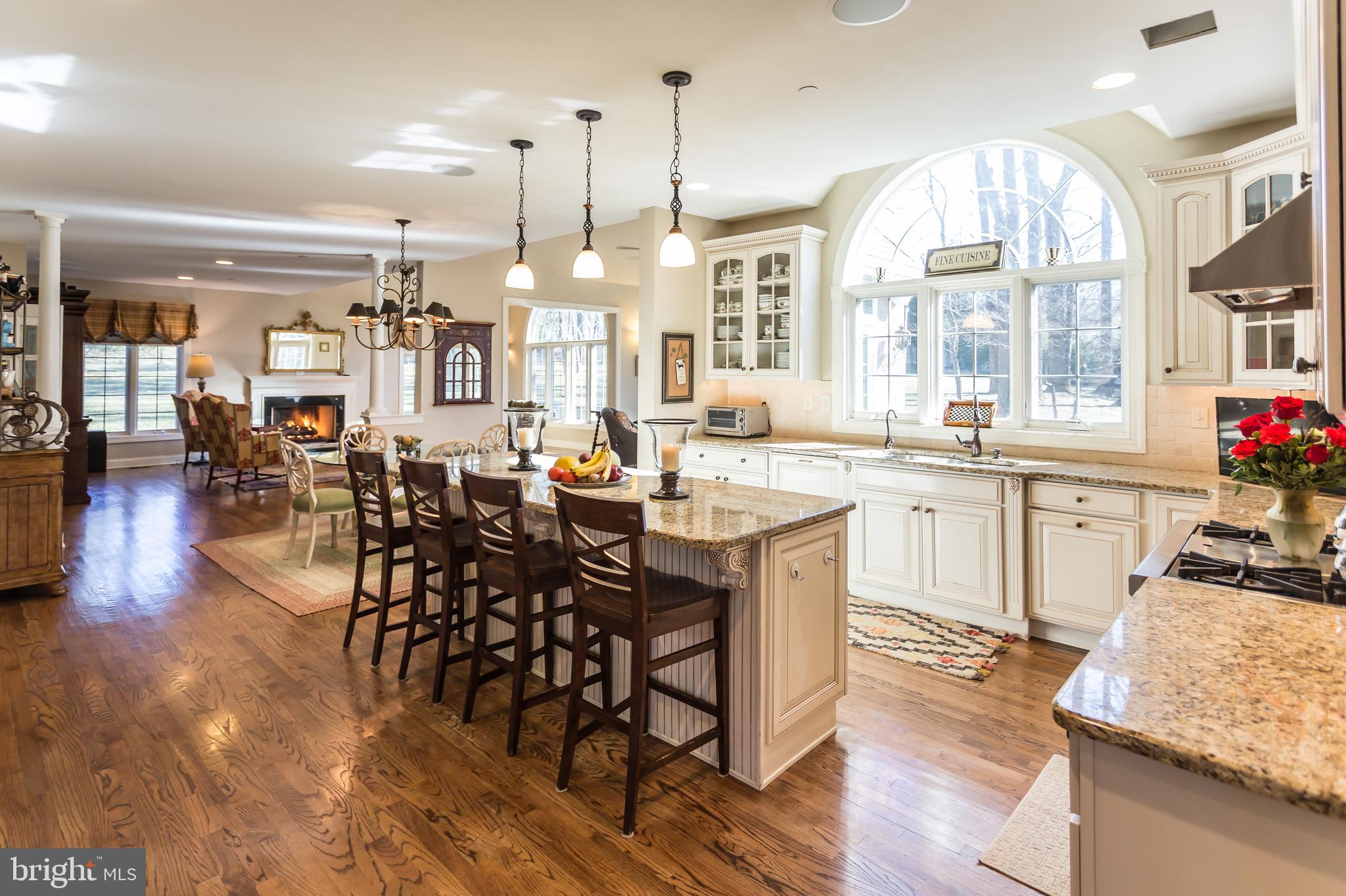 122 Springtree Road Newtown Square, PA 19073 - Photo 5 of 17 Kitchen