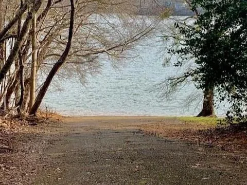 a view of a yard with a tree