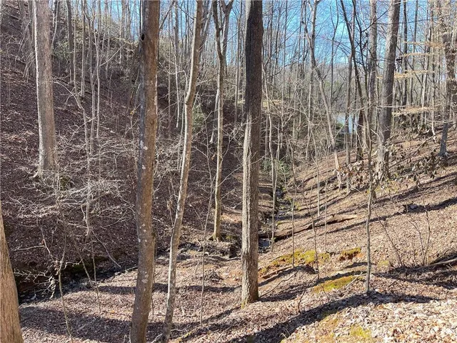 a view of a pathway of a building