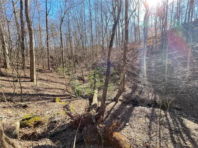 a view of a yard with wooden fence