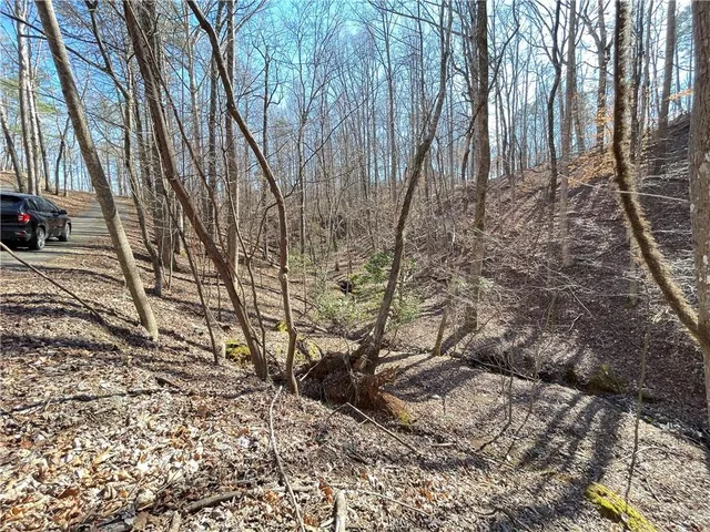 a view of a yard with large trees