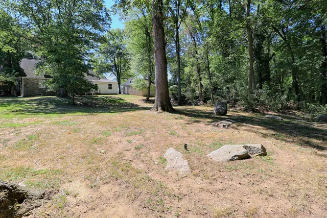 a view of a yard with trees