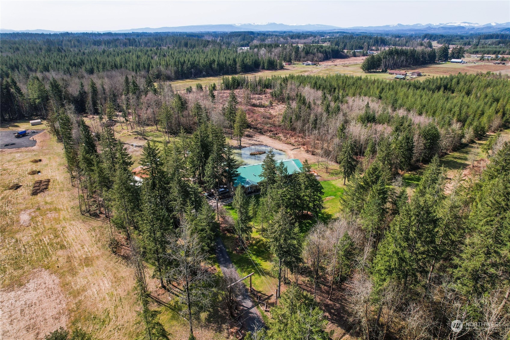 411 Zandecki Road Chehalis, WA 98532 - Photo 33 of 40 a view of a forest with a lake