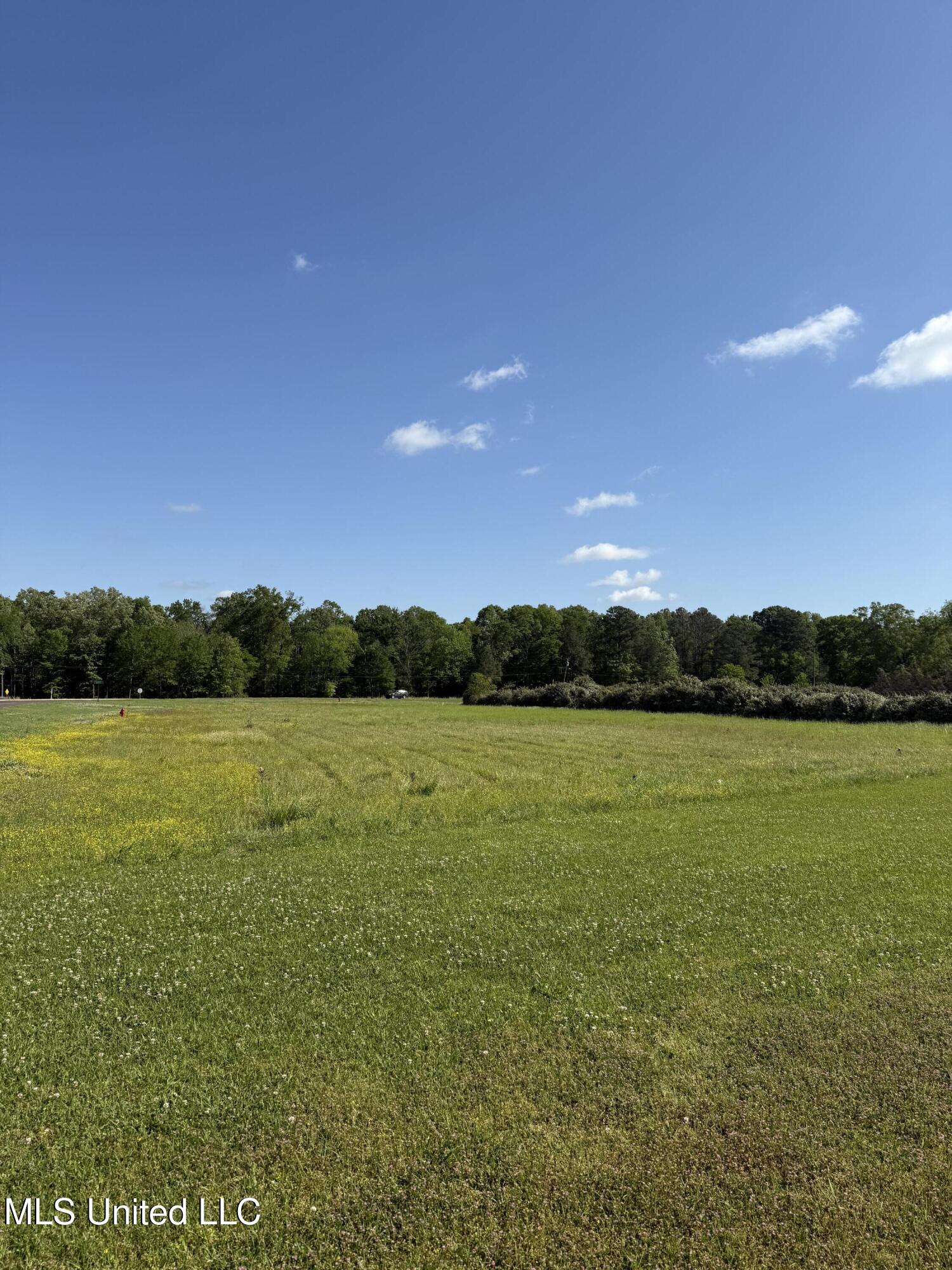 Liberty Road Flowood, MS 39232 - Photo 3 of 9 Ready to Build