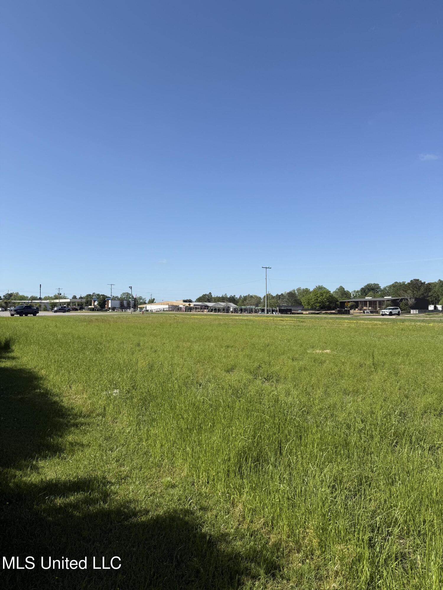 Liberty Road Flowood, MS 39232 - Photo 4 of 9 Cleared Vacant Acerage