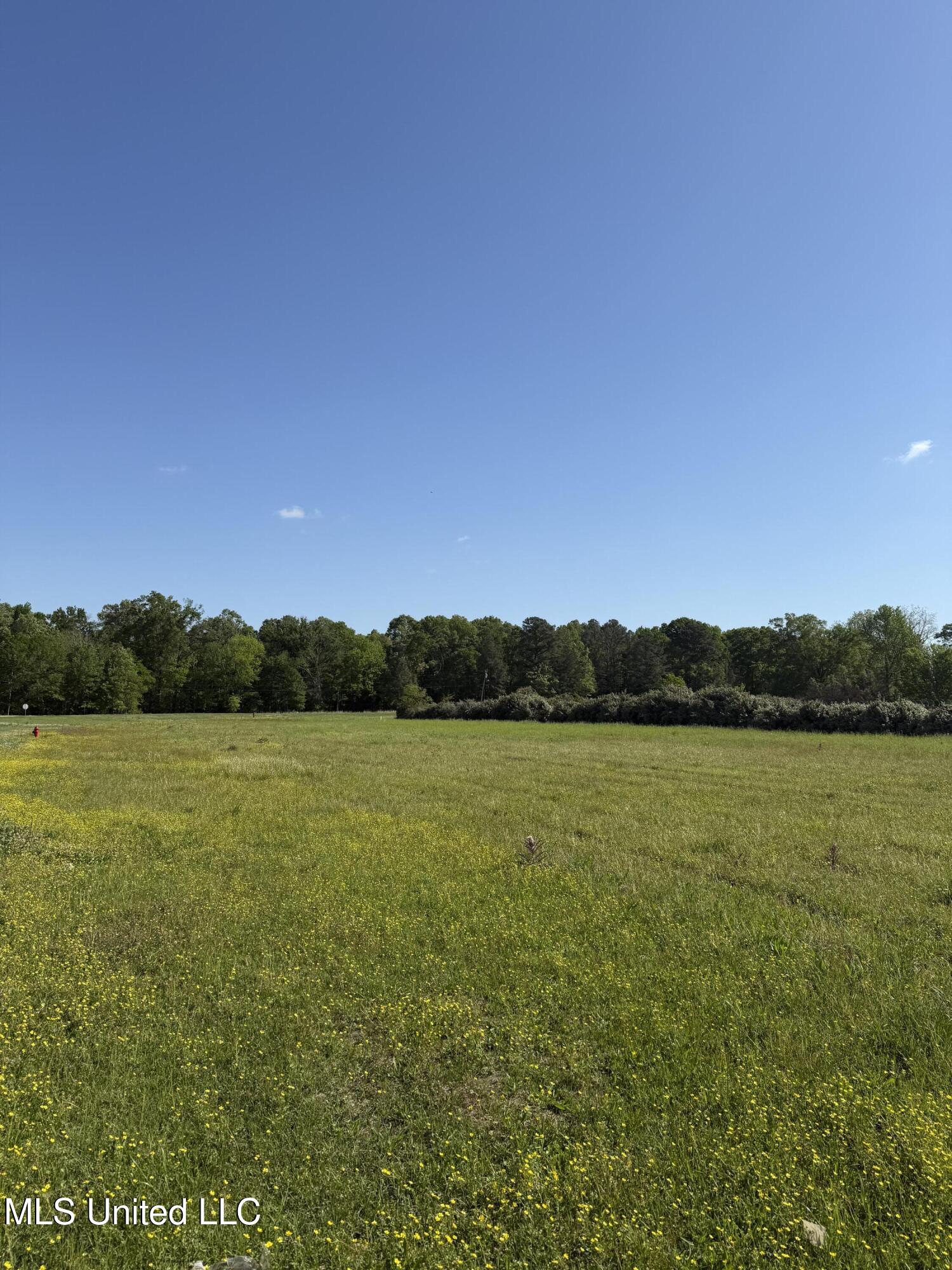Liberty Road Flowood, MS 39232 - Photo 6 of 9 Cleared Vacant Acerage