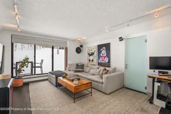 $6,000 | 1317 Vine Street, Aspen, CO 81611