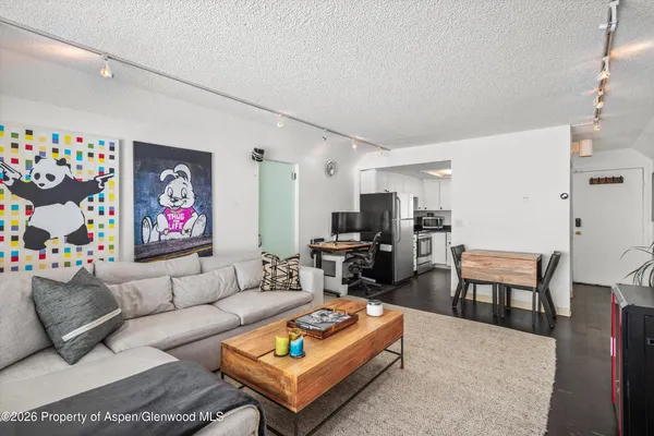 $6,000 | 1317 Vine Street, Aspen, CO 81611