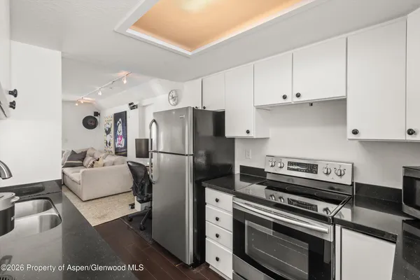 $6,000 | 1317 Vine Street, Aspen, CO 81611