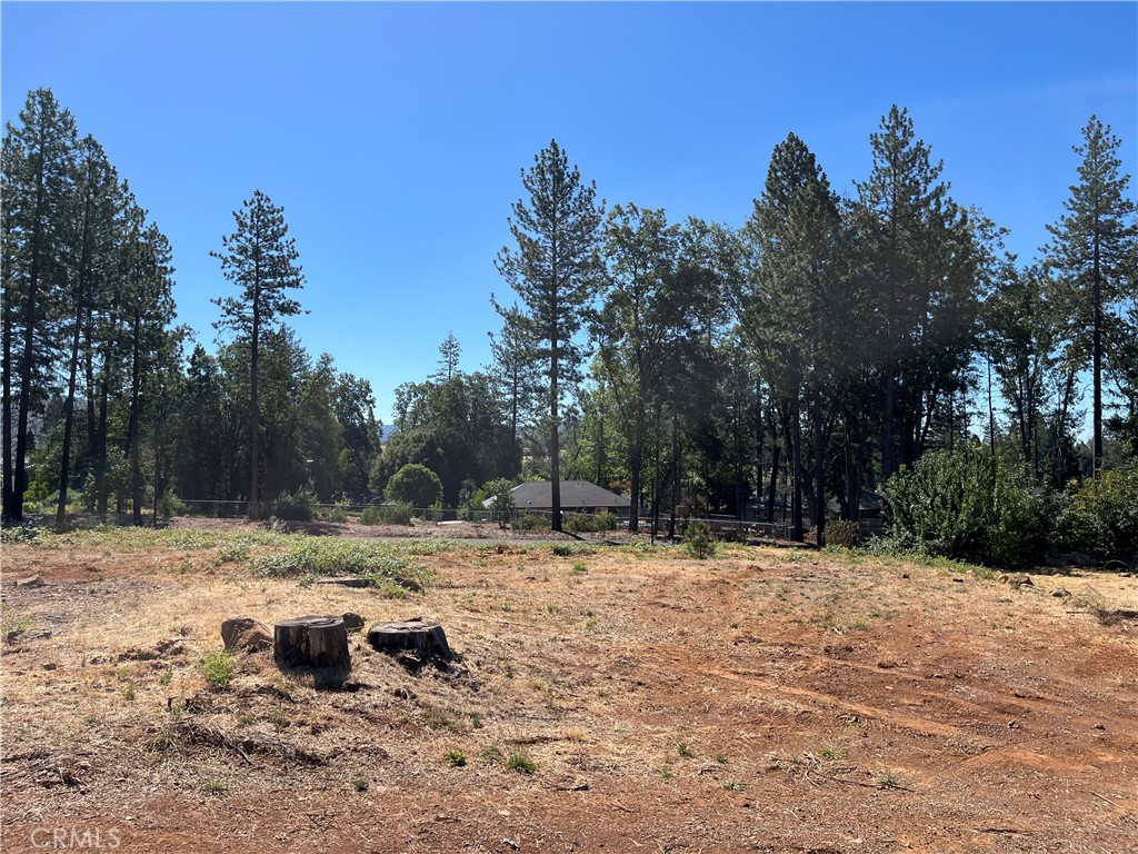 9238 Skyway Road Paradise, CA 95969 - Photo 8 of 9