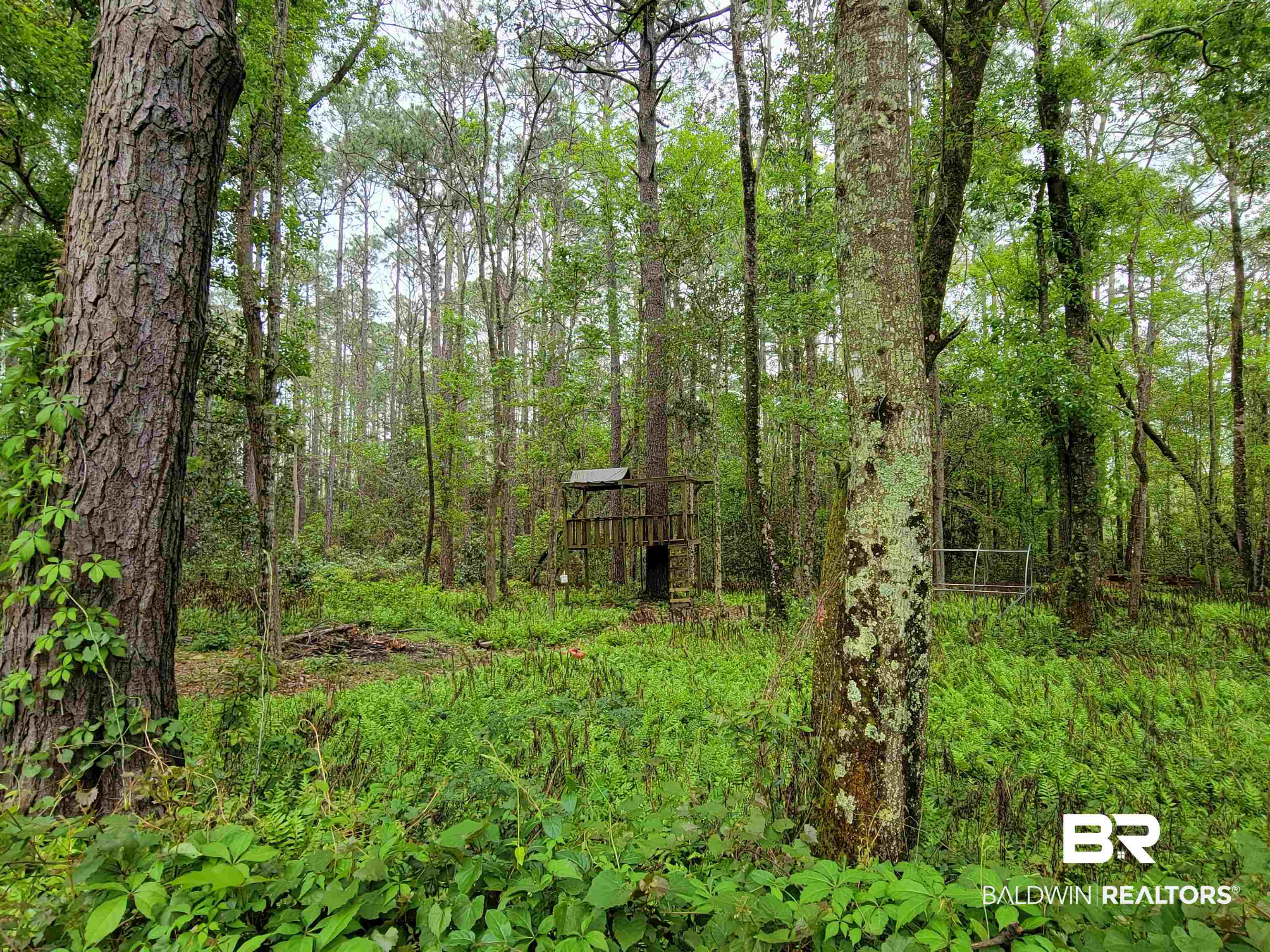 10 County Road Foley, AL 36535 - Photo 4 of 17 Gallery Image 4