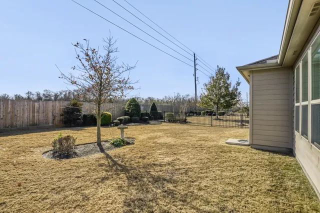 a view of a backyard with a tree