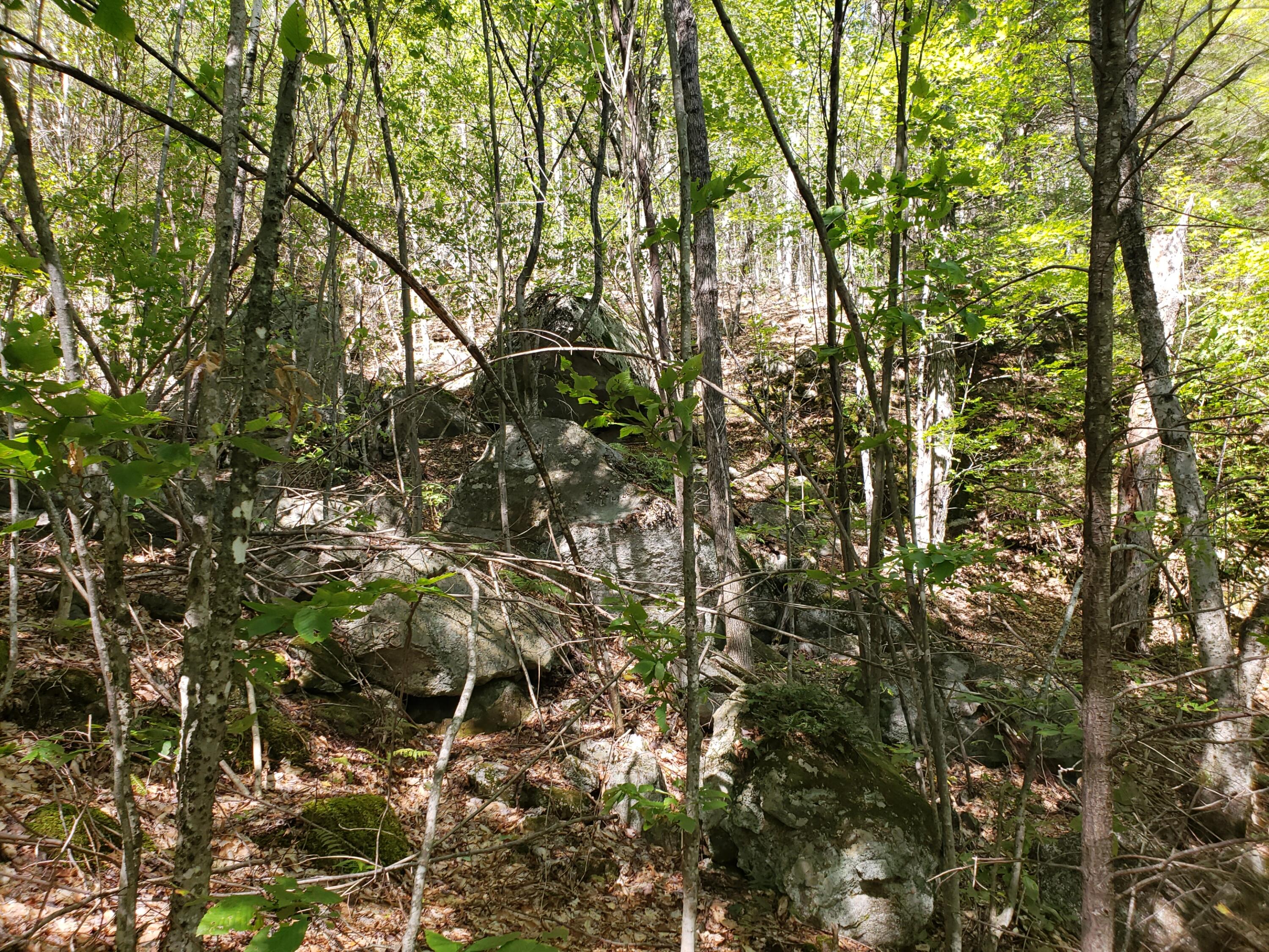 0 Off Mountain Stoneham, ME 04231 - Photo 28 of 32 more rocks