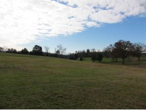 Lot 22 Calico Road, Unit 22 Afton, TN 37616 - Photo 3 of 4 Land