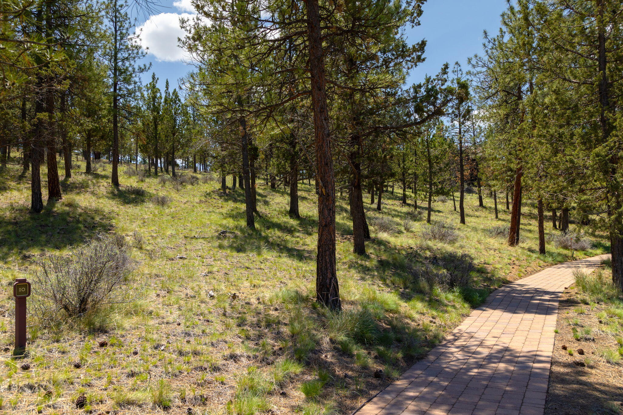 1790 Northwest Wild Rye Circle, Unit 10 Bend, OR 97703 - Photo 1 of 16 Wild Rye Lot 10 (2 of 10)