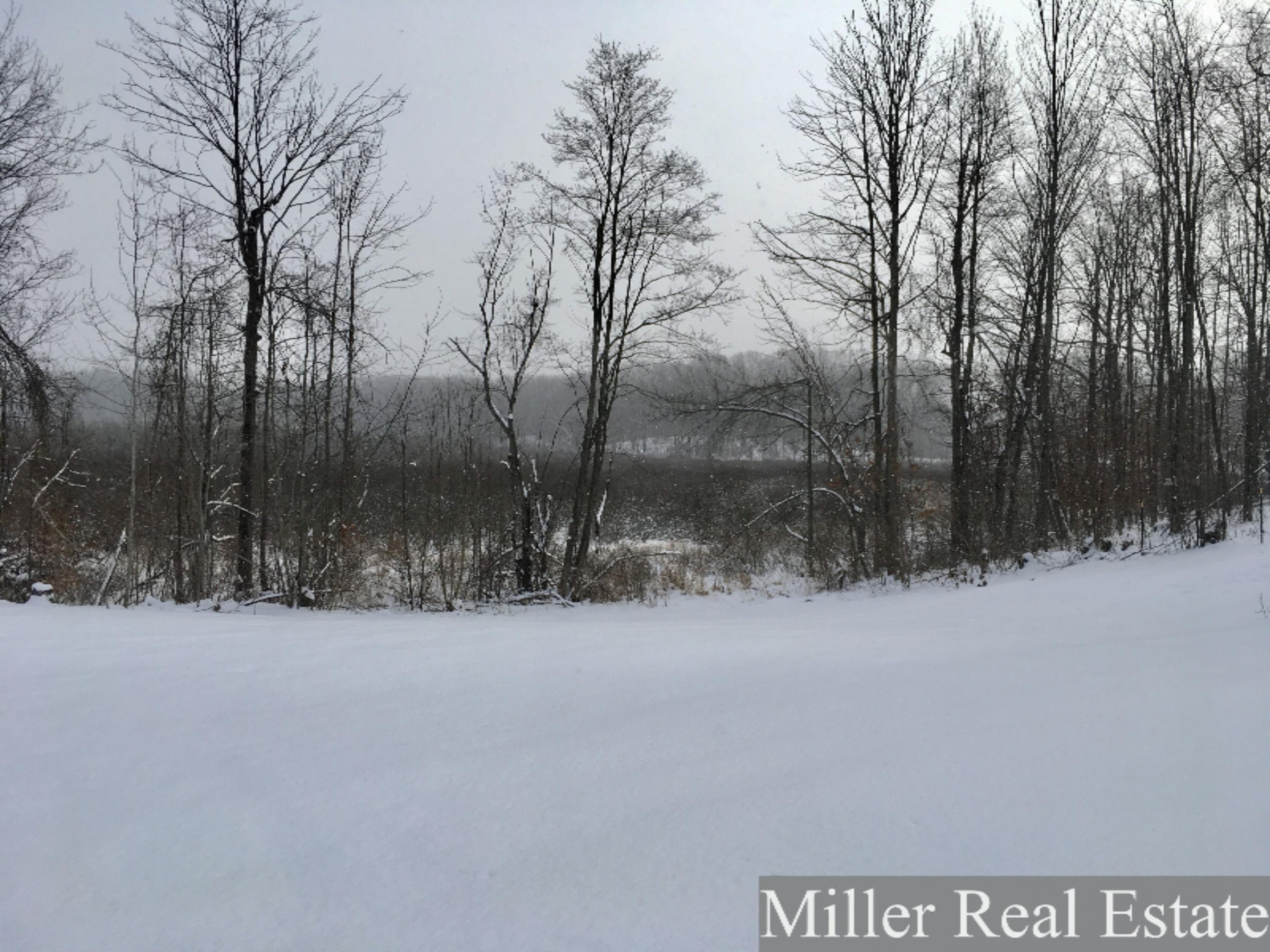 6301 Gurd Road Hastings, MI 49058 - Photo 13 of 13 Photo Feb 08, 10 23 11 AM