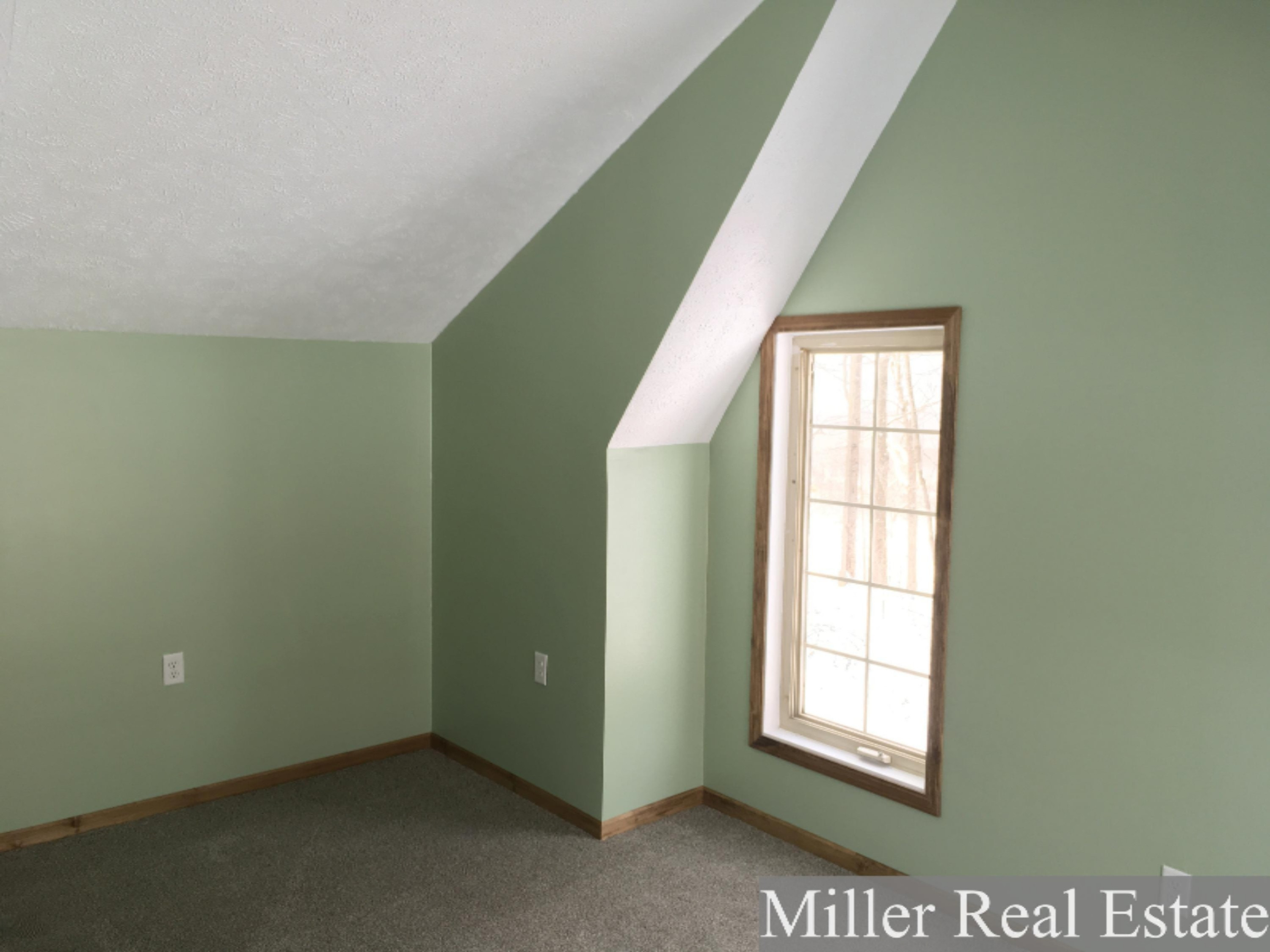 6301 Gurd Road Hastings, MI 49058 - Photo 10 of 13 Photo Feb 08, 10 26 13 AM (1)