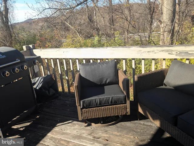 a view of a backyard with a small cabin