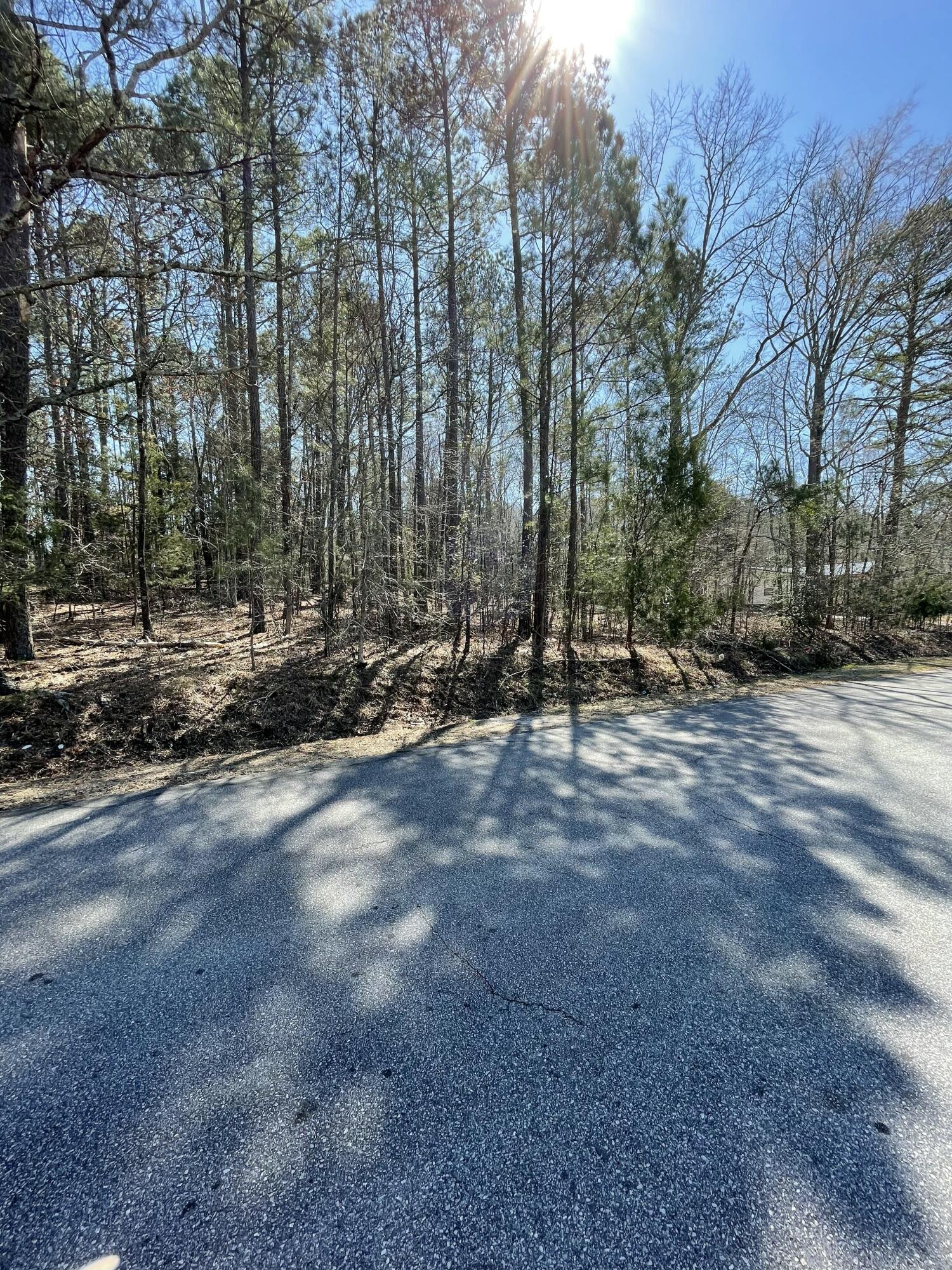 0 Westside Drive McCormick, SC 29835 - Photo 8 of 10