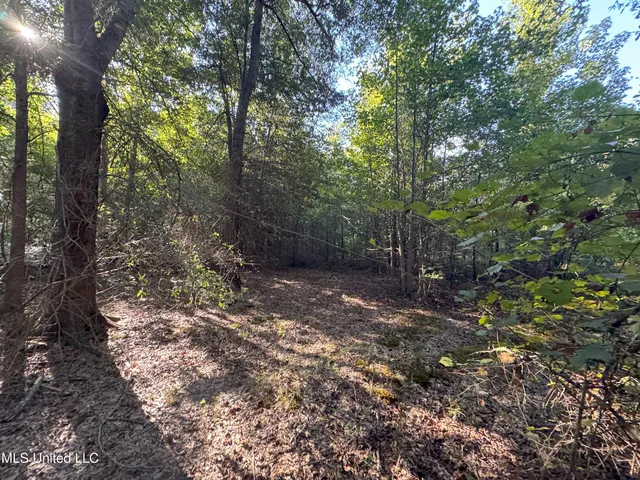 $78,000 | 0 Weir Road, Holcomb, MS 38940