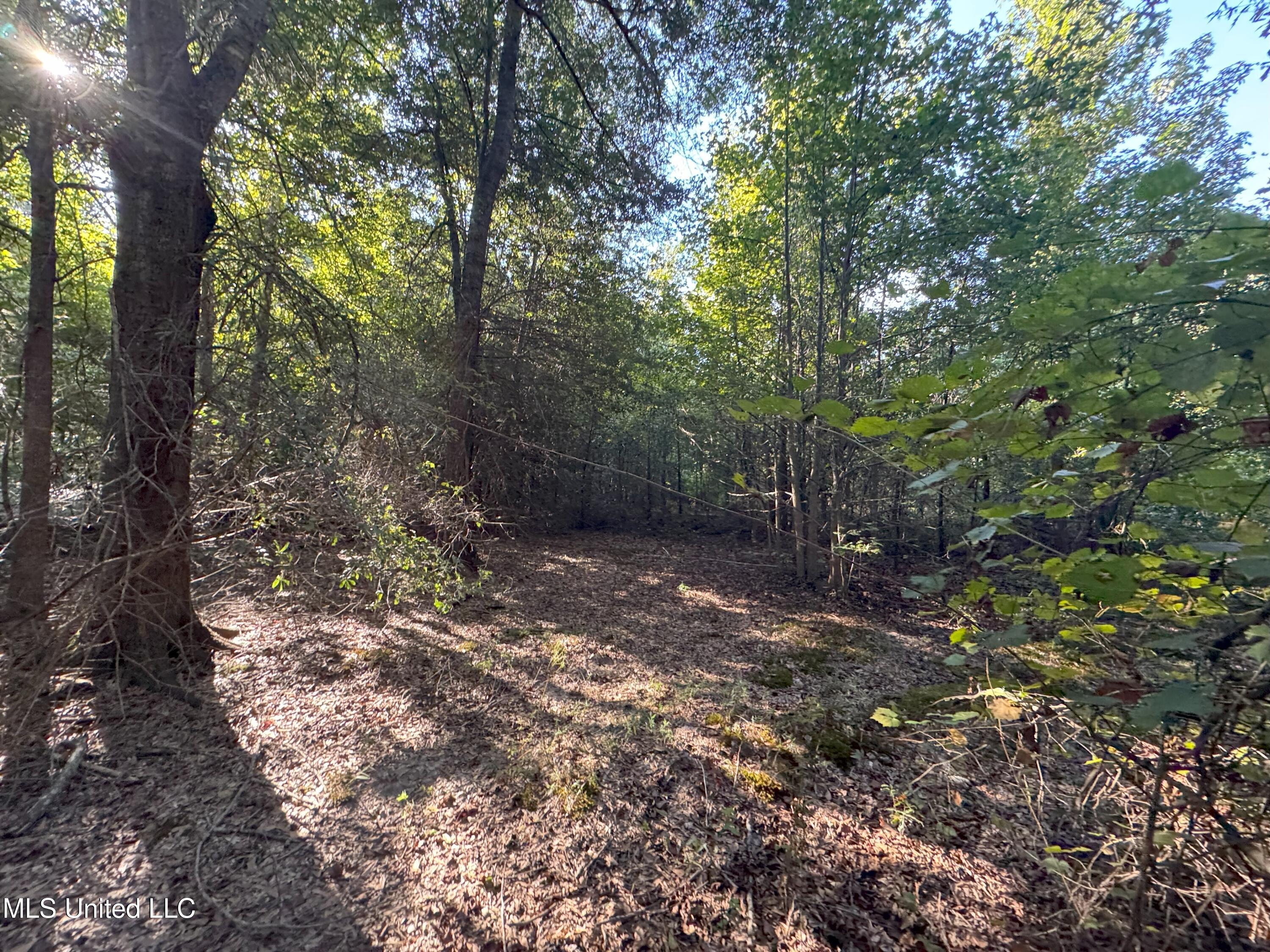 0 Weir Road Holcomb, MS 38940 - Photo 12 of 32 IMG_6338