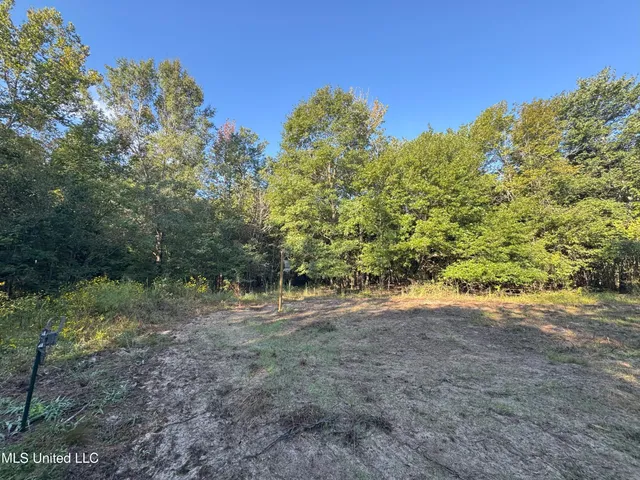 $78,000 | 0 Weir Road, Holcomb, MS 38940