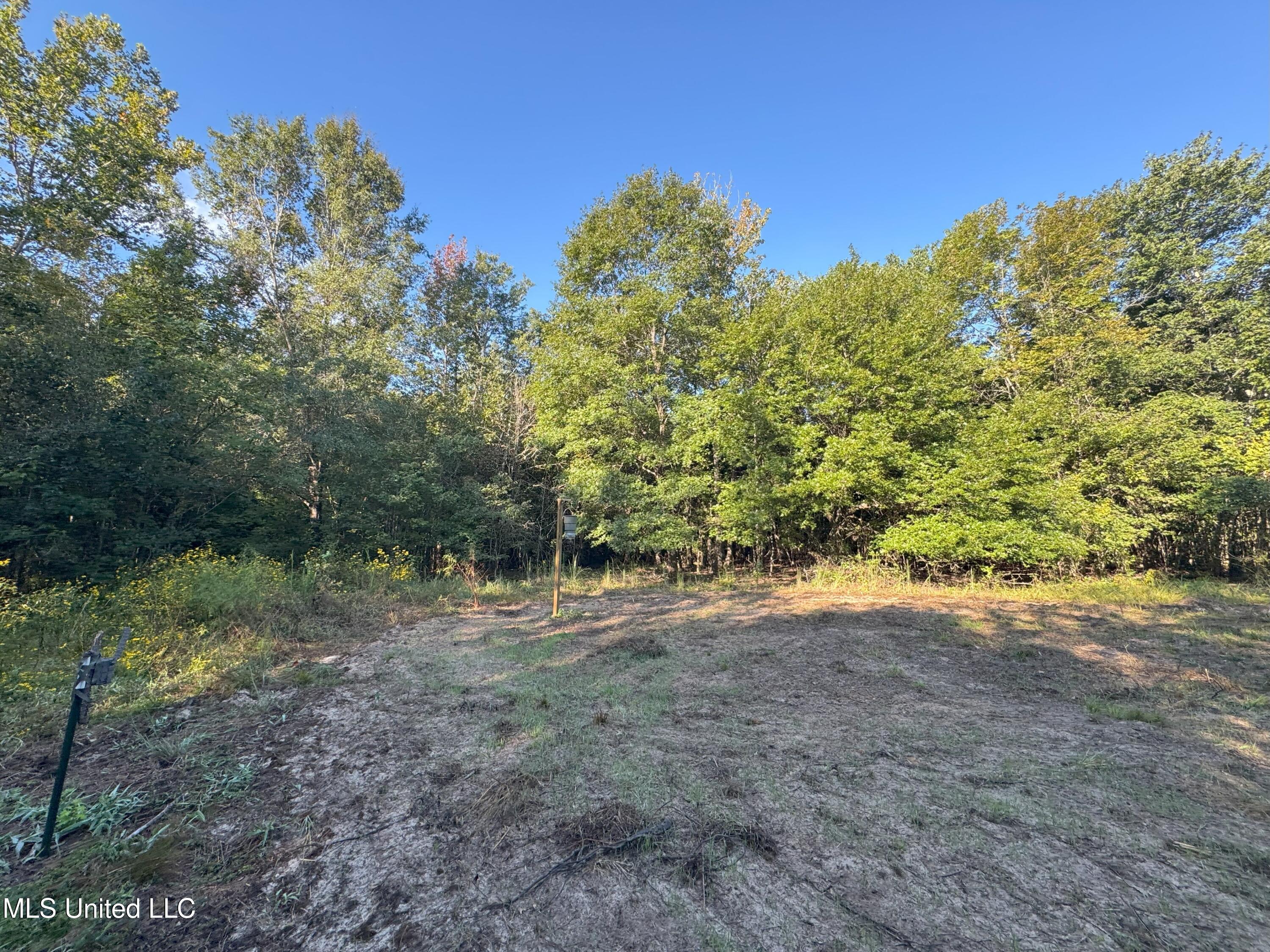 0 Weir Road Holcomb, MS 38940 - Photo 14 of 32 IMG_6318