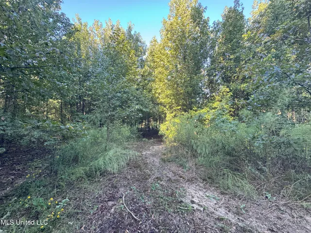 $78,000 | 0 Weir Road, Holcomb, MS 38940