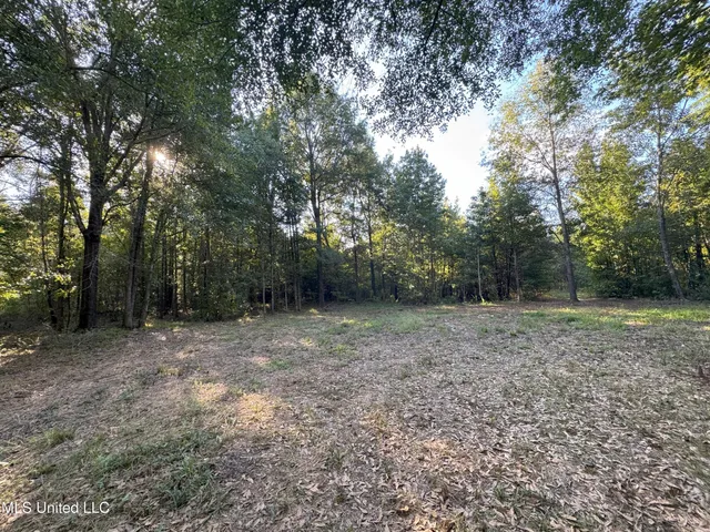 $78,000 | 0 Weir Road, Holcomb, MS 38940