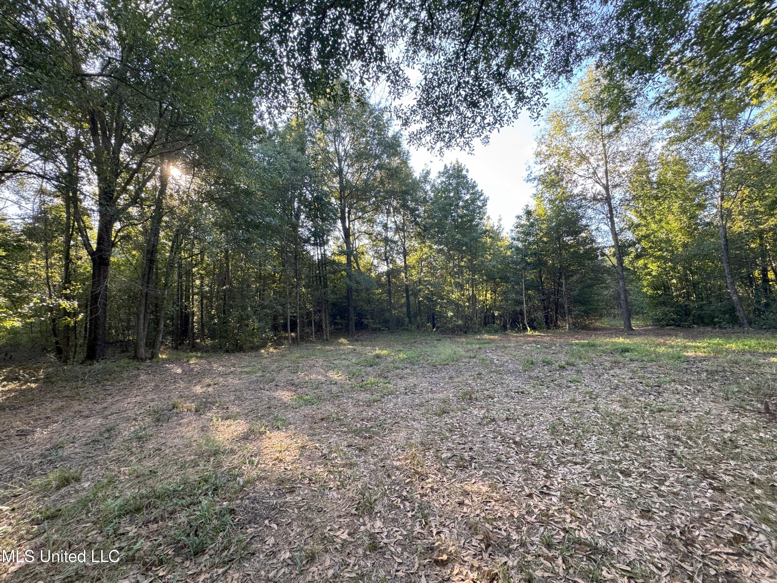 0 Weir Road Holcomb, MS 38940 - Photo 16 of 32 IMG_6304