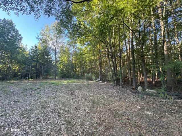 $78,000 | 0 Weir Road, Holcomb, MS 38940