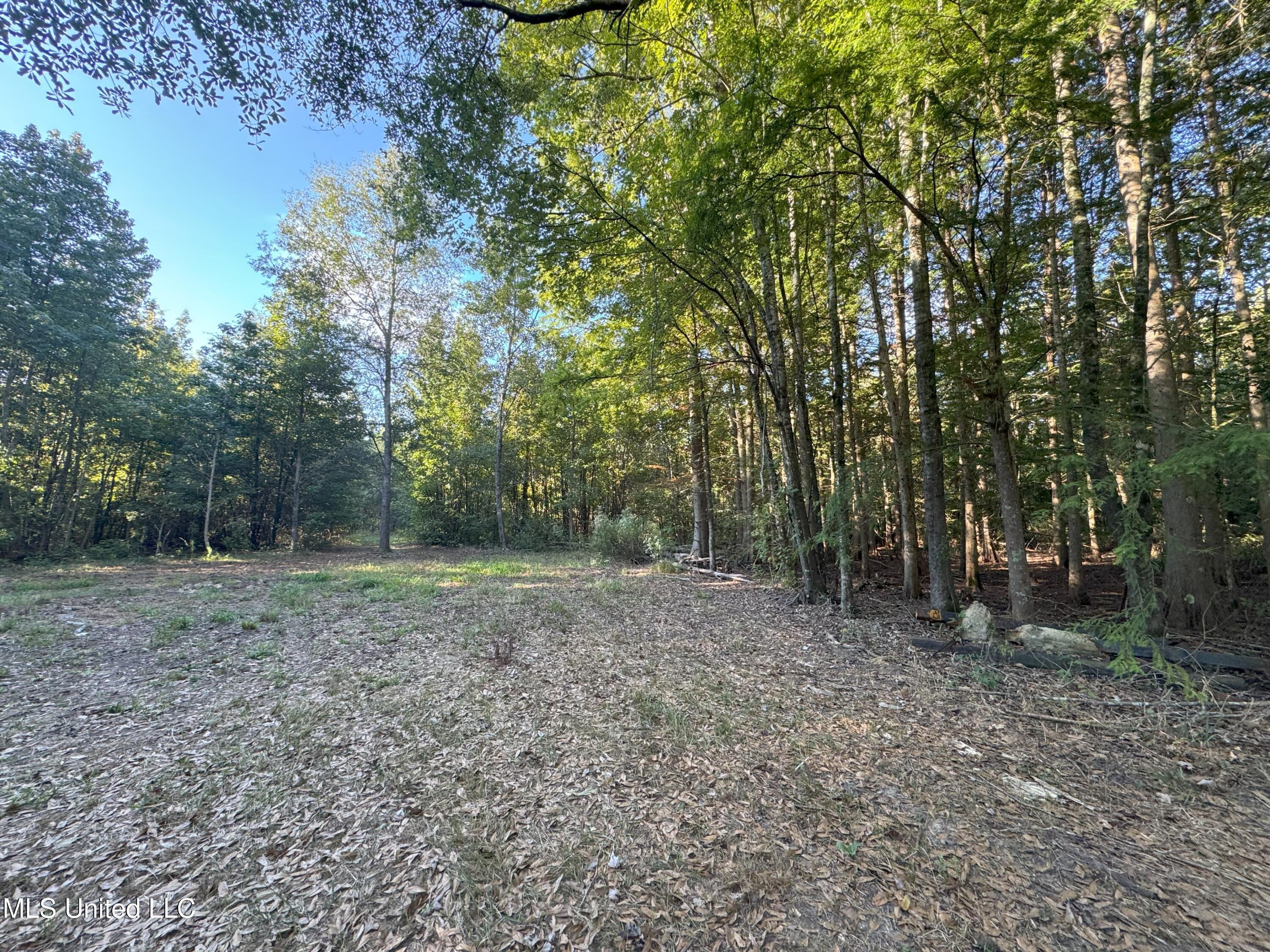 0 Weir Road Holcomb, MS 38940 - Photo 17 of 32 IMG_6305