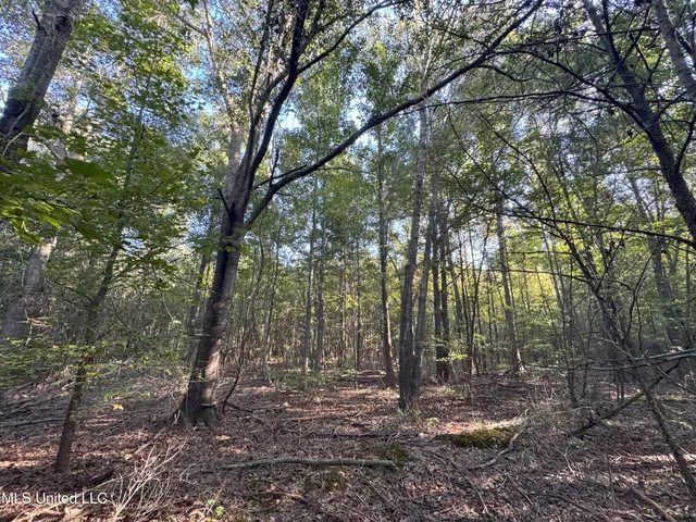 $78,000 | 0 Weir Road, Holcomb, MS 38940