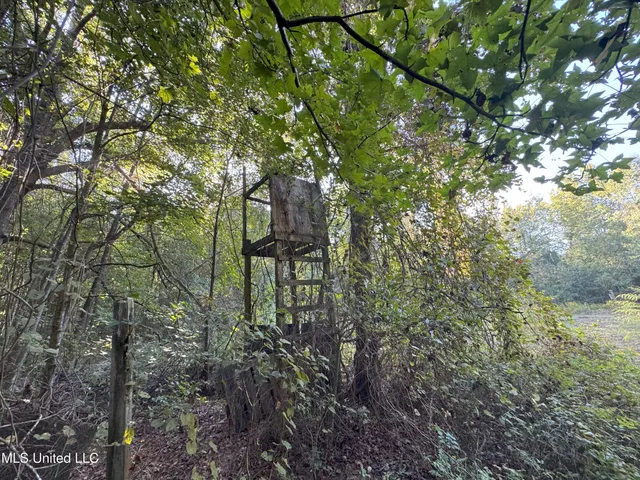 $78,000 | 0 Weir Road, Holcomb, MS 38940