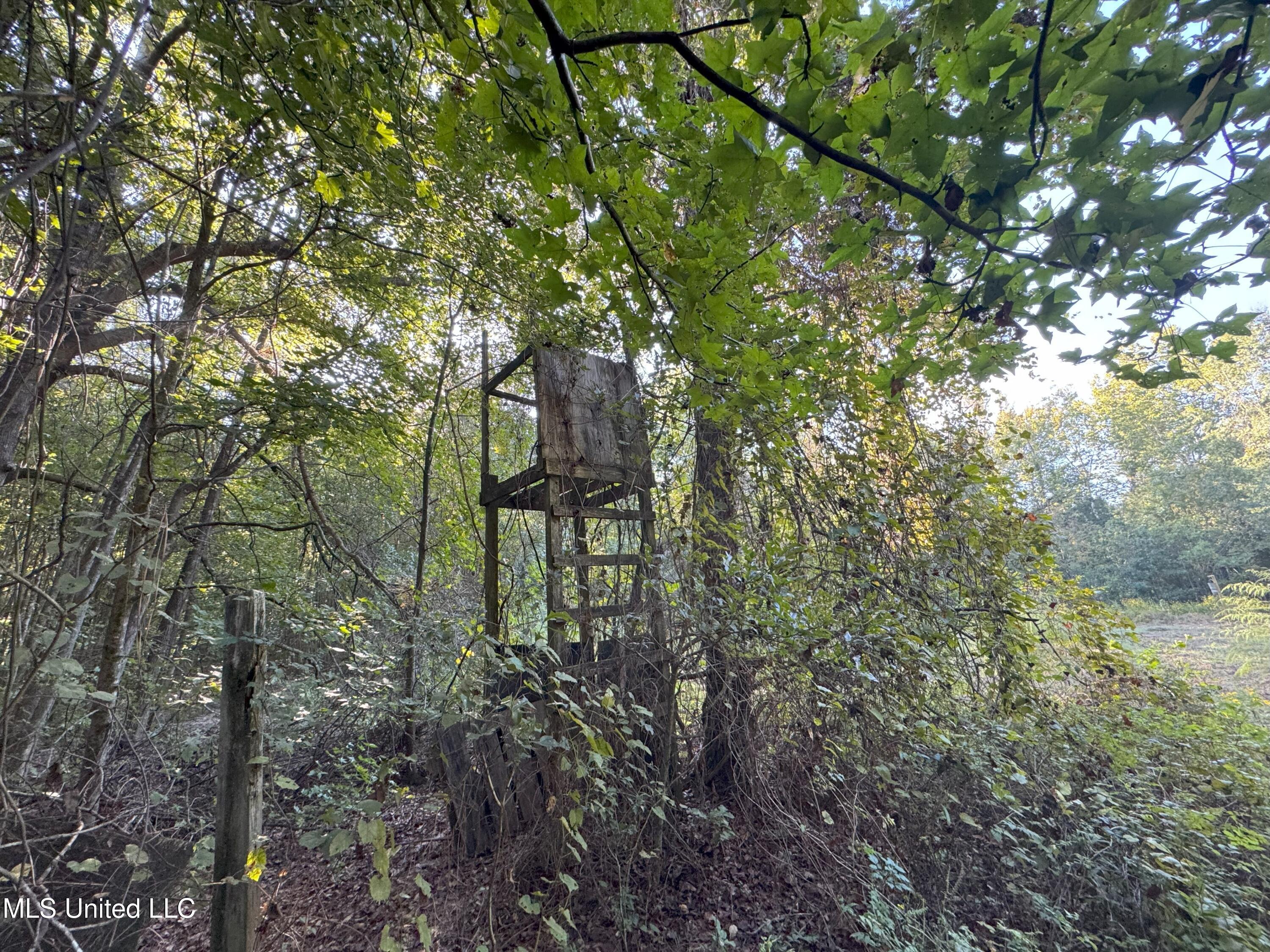 0 Weir Road Holcomb, MS 38940 - Photo 2 of 32 IMG_6315