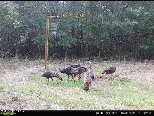 $78,000 | 0 Weir Road, Holcomb, MS 38940