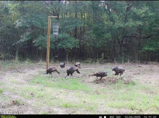 $78,000 | 0 Weir Road, Holcomb, MS 38940