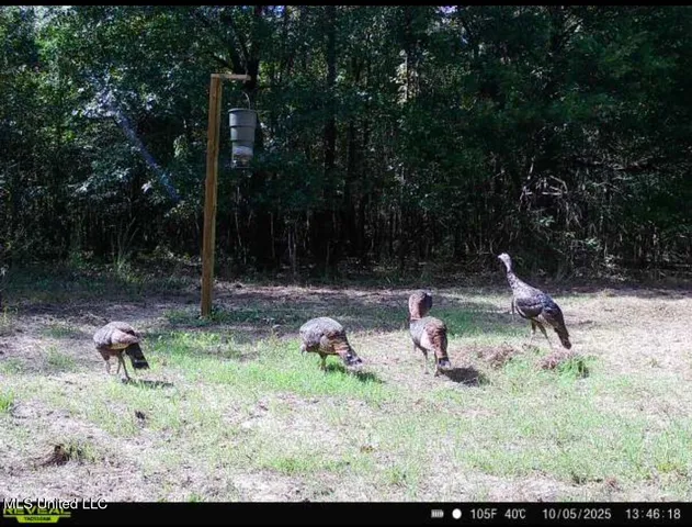 $78,000 | 0 Weir Road, Holcomb, MS 38940